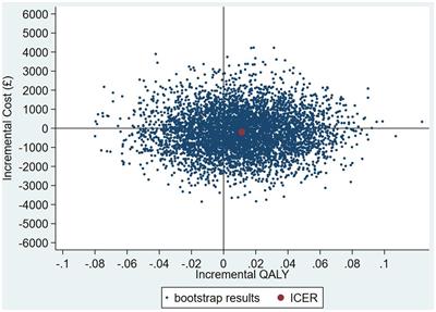 Cost-effectiveness of peer-supported self-management for people discharged from a mental health crisis team: methodological challenges and recommendations